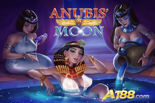 Multi-Sport Coverage